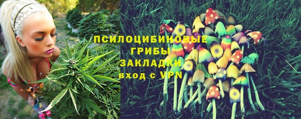 прущая мука Абдулино