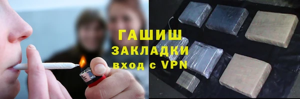 прущие грибы Абаза