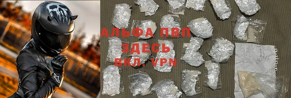 прущие грибы Абаза