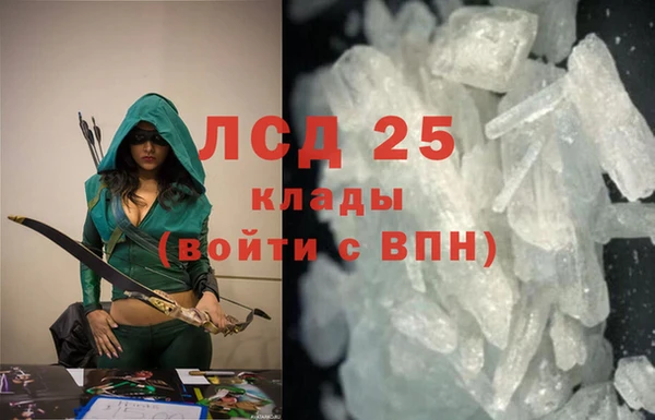 прущие грибы Абаза