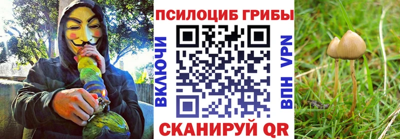 Псилоцибиновые грибы Psilocybine cubensis  магазин    Гагарин 
